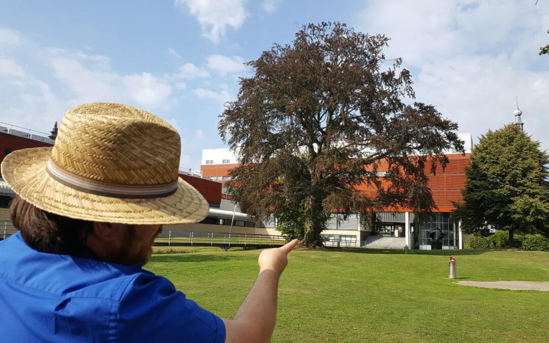Bram: Mooiste boom van Tilburg